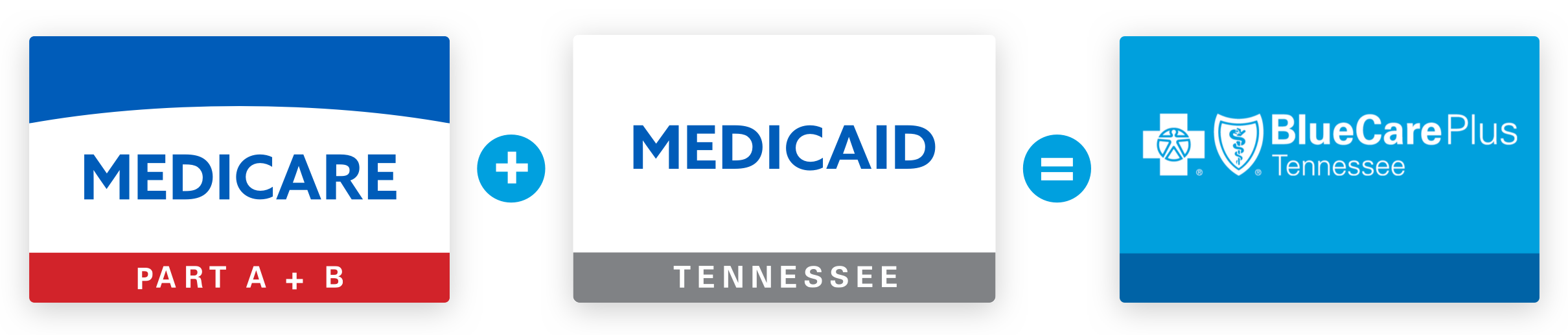 BlueCare Plus DSNP BCBS of Tennessee