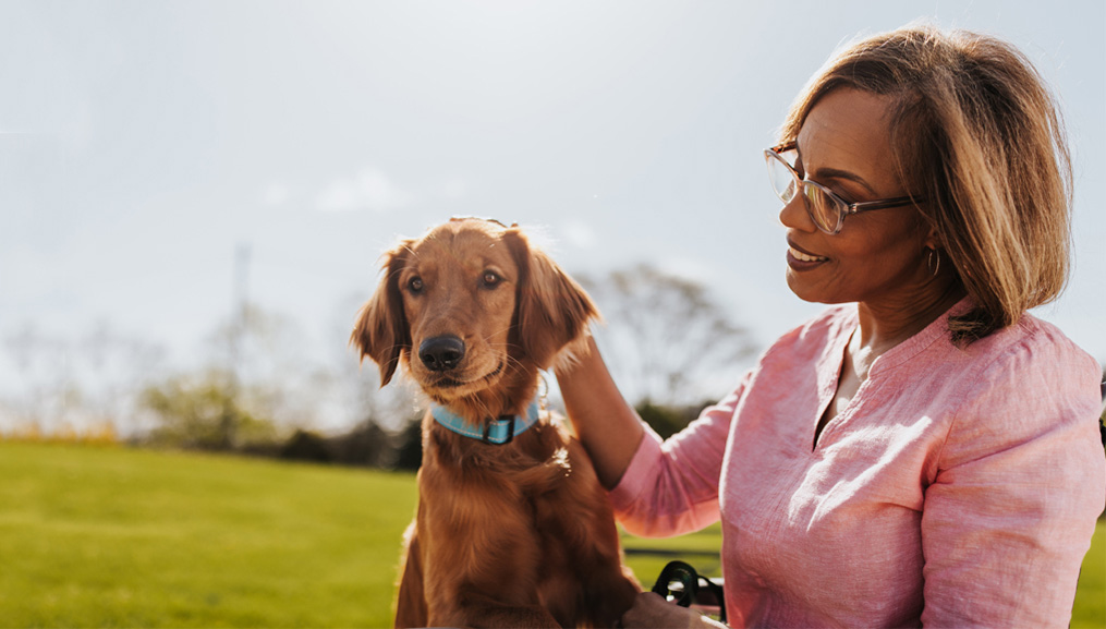 BlueCare Plus Pharmacy BCBS of Tennessee