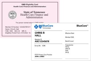 Eligibility Card, Pharmacy Card, and Medicaid Tennessee Card